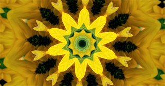 April 2024 - National Decorating Month