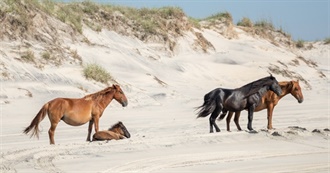 Outer Banks Vacation