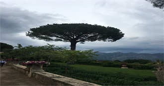 52 Things I&#39;ve Done