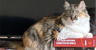 Sarah&#39;s 25 Books for Summer 2025!