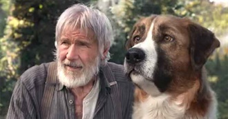 60+ Movies With Dogs