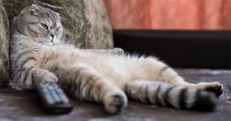 Neptune&#39;s Fave Films