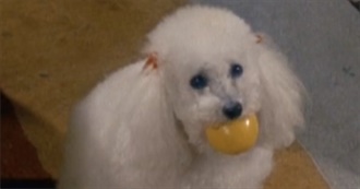 Signe&#39;s Loveliest Moveys