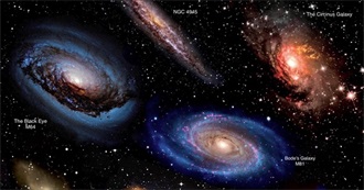 Some Things Dodger Loves (Or Just Likes)