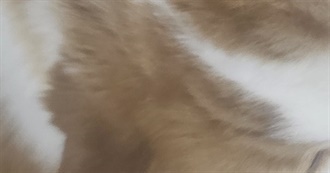 Teddy&#39;s Movie List