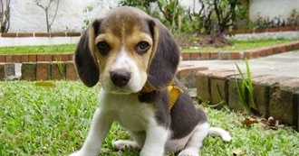 The Very Quick Movies List: 40 Films You May Have Forgotten About