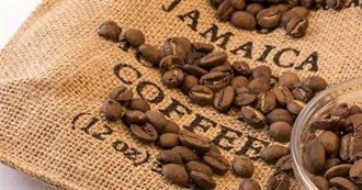 Big T&#39;s Popular Dishes and Drinks North America Part 9