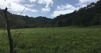 Life Is Full of Surprises