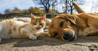 Books for Animal Lovers