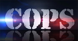 Best Cop Shows Ever?  Did You See These on TV?