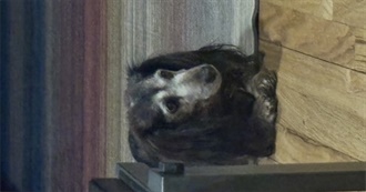 Alan&#39;s Top 100 Movie :)