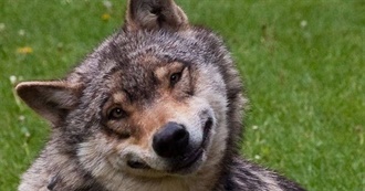 Nico&#39;s Fave Films