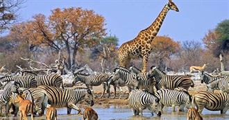 Have You Ever Visited?