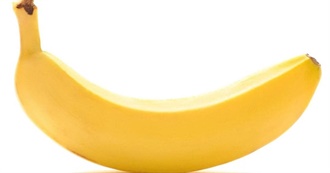 What Nett Ate Today #16