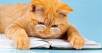 Readers Also Enjoyed