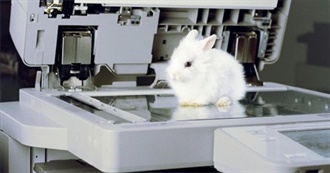 Bunny&#39;s Favorite Movies