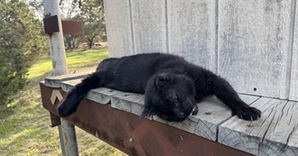 Emilee&#39;s (Personal) Top 50 Movies of All Time