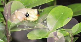 Lino&#39;s List of Favorite Movies