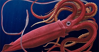 Guess the Book: Nature, Edition Two