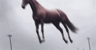 YouTubers Nirvana (That&#39;s Me) Watch Religiously