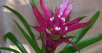 100 Films That Make You Think