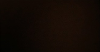 Movies and TV Harry Likes