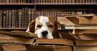 Iowa City Public Library&#39;s Best Books 2015