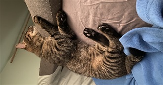 Books Read in Jan-Jun 2025