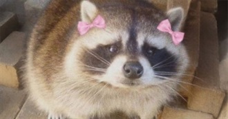 Margo&#39;s 50 Favorite Movies