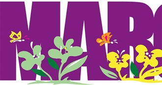 Which Movies Are You Waiting for in March 2017