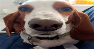 Leo Favorite Moofies :3