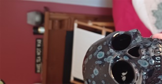 Charlotte&#39;s 2024 Movies