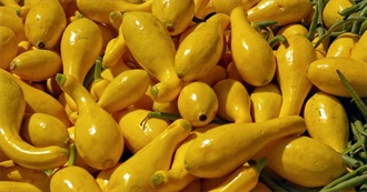 Yellow Wanna Try Foods