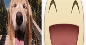 Strawb&#39;s List of Films