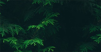 Natalie&#39;s Top 55 Movies