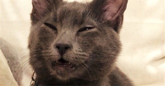 Ashlee&#39;s Movie List