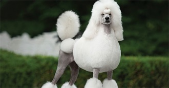 Robbie&#39;s Book List