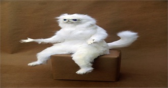 Lee&#39;s Top 69 Movies