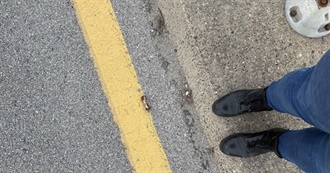 Folkinsomnia and Her Bad Taste in Movies