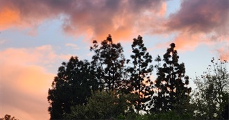 Lou&#39;s Awesome Sauce Movie List &#128175;&#128175;&#128175;