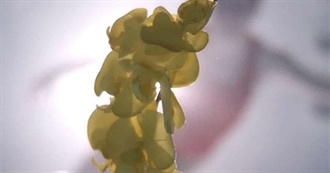 Whatculture&#39;s 10 Complex Movies You Really Weren&#39;t Prepared For