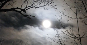 A Horror/Dark Fantasy Miscellany: 1 Book by 50 Authors