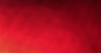 Stelle&#39;s 101 Movies