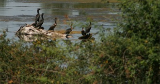 Books Aubrey Never Finished