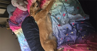 Lena&#39;s Movies Watched in 2023