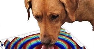 Sansa&#39;s Top 25 Movies