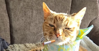 Shardbearing&#39;s Top 100