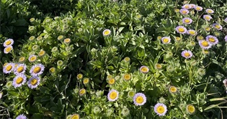 Ange&#39;s Top 100 Books