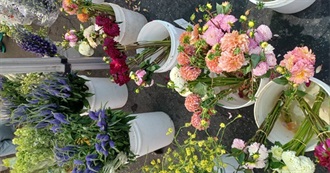 Bookish Taste Test SB