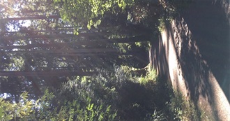 Some Places Florence Saw in Canada